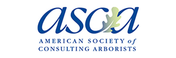 american society of consulting arborists logo