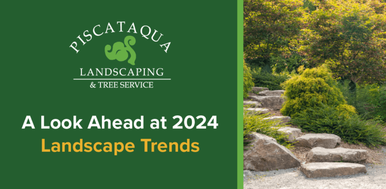 A Look At 2024 NH Landscaping Trends Piscataqua Landscaping   PLC A Look Ahead Blog Blog 768x377 